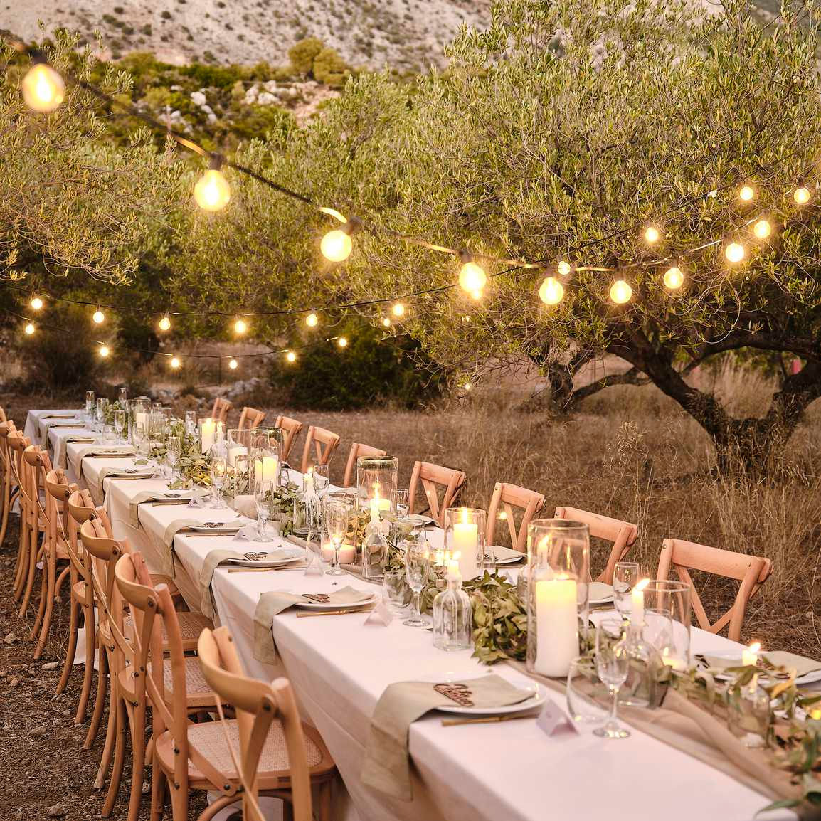 Party Dining Outdoor Lights