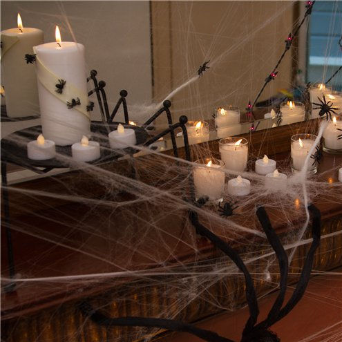 Thumbnail: Spiders Web with Spider - 100sq ft