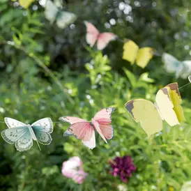 Hanging and Bunting
