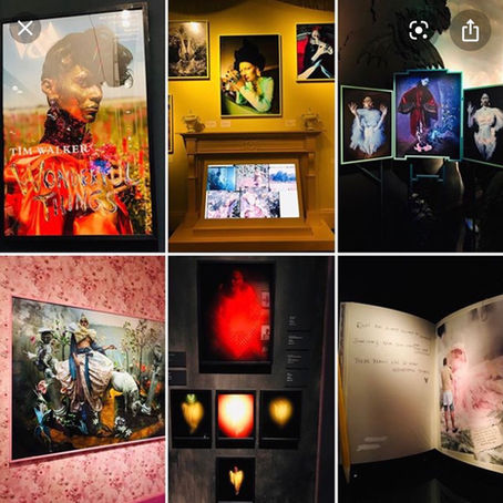 Research looking into Dreams and Fairy Tales. Tim Walker.