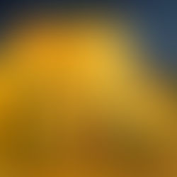 Sketchbook page
A visit to Vincent Van Gogh interactive experience