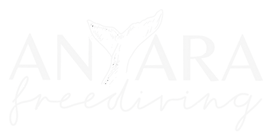Logo web Maria Serrano_edited.png