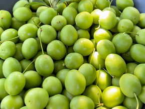 Nordiske oliven - fermenterte plommer