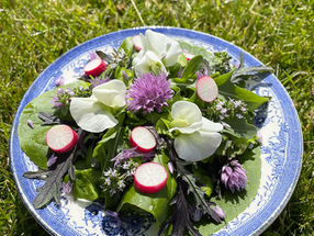 Sommersalat med spiselige blomster