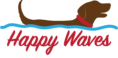 HappyWaves Icon.png