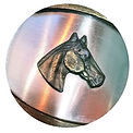 Old-Pony_web-logo.jpg