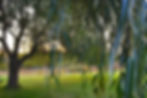 DSC_0037_edited.jpg