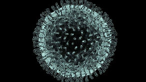 Everything you need to know about the coronavirus