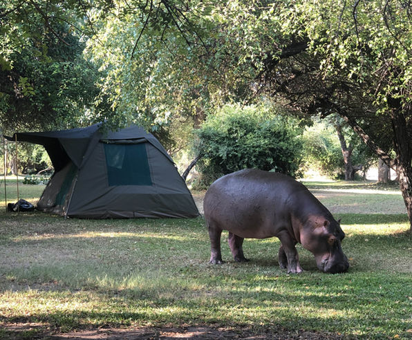 Breezes River Lodge - Tented Camping-min.jpeg