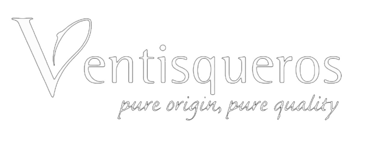 Ventisqueros-blanco.png