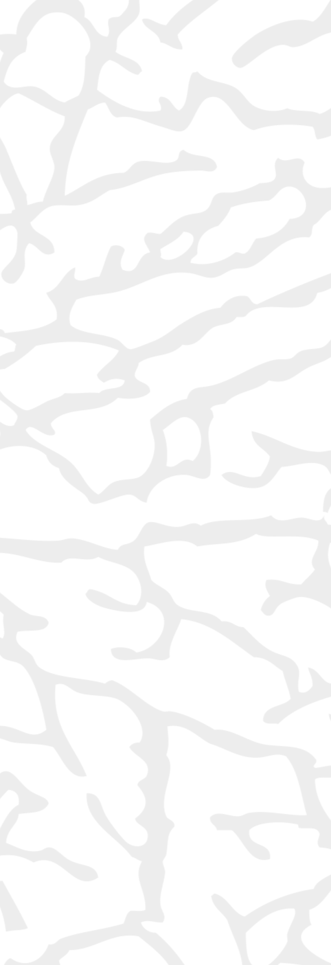 Vector Smart Object_edited.png