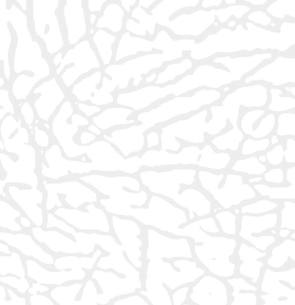 Vector Smart Object_edited.png
