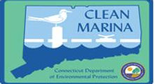 clean marina.jpg