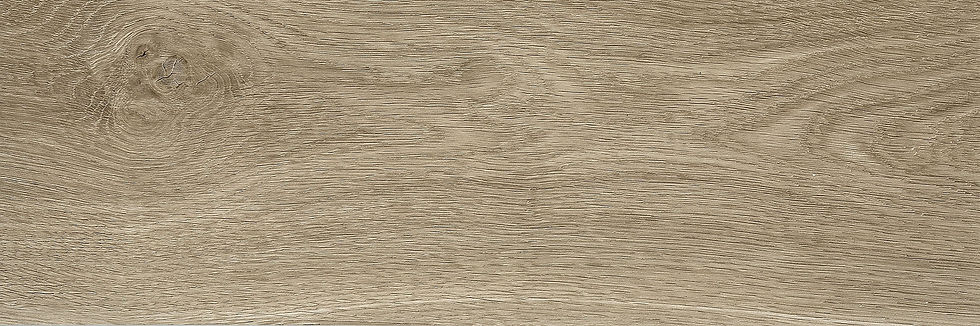 Sandy Oak STL.jpg
