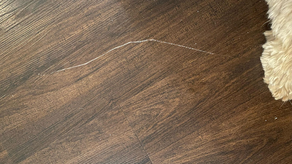 A long white scratch on the surface of wood flooring