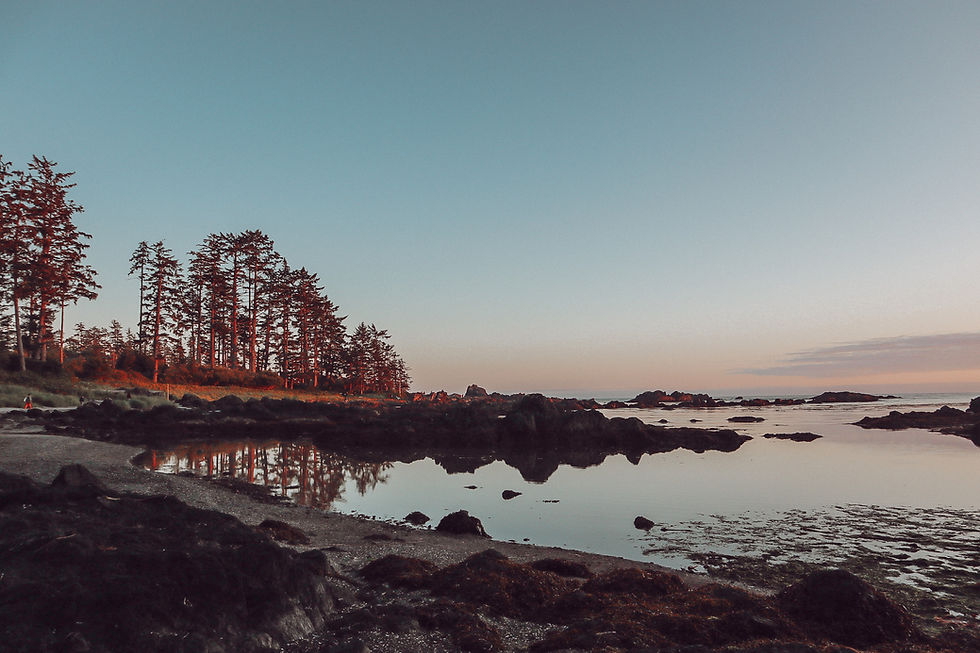 Big Beach, Ucluelet BC at sunset.