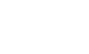 flip and shine icon white