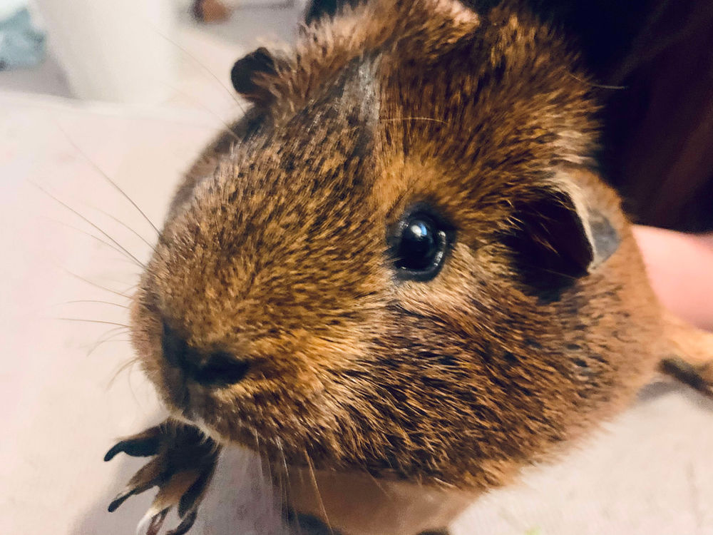 How to create a Kick Drum from any sound