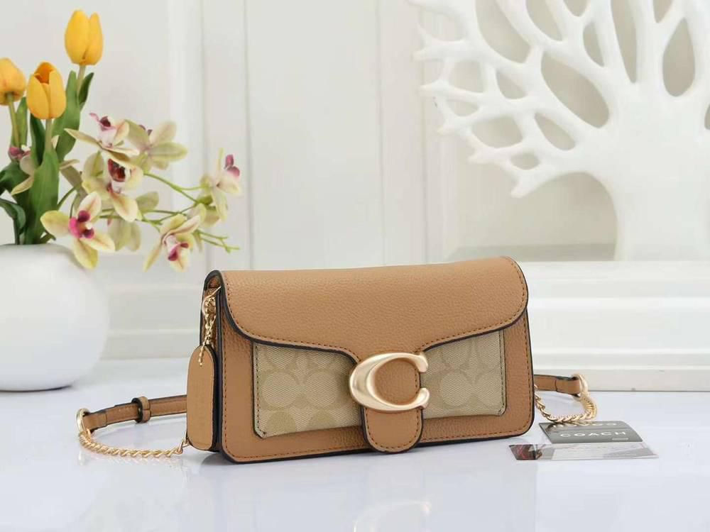 Imported coach signature tabby