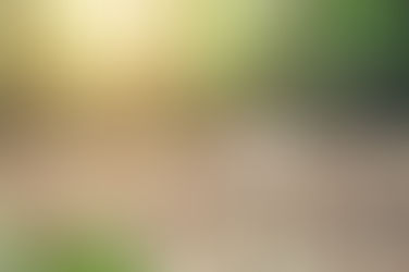  ¿Qué es el duelo? Comprendiendo el proceso de sanación emocional