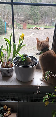 20190213_131425.jpg