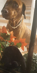 20190214_185944.jpg