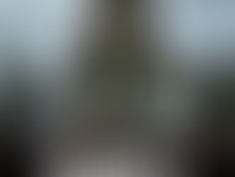 New single by Skinhate