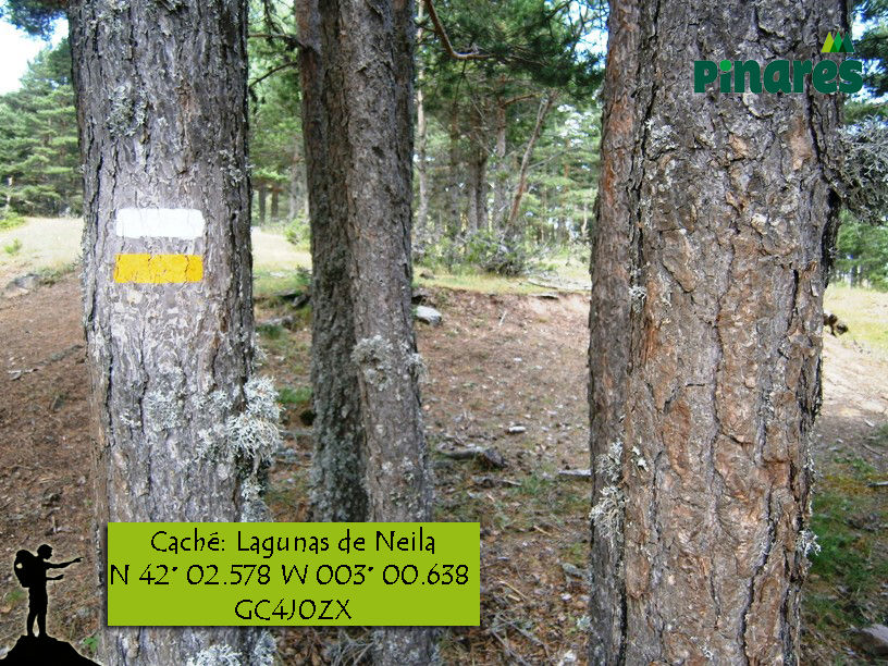 postal_neila.jpg