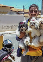 depoimento sidecar petshop