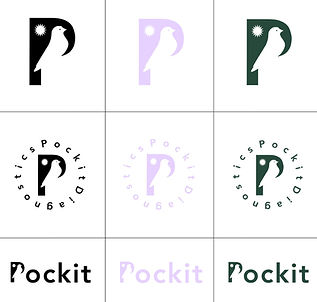 loading_pockit_7_edited.jpg