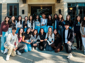 Artona Ambassador Program 