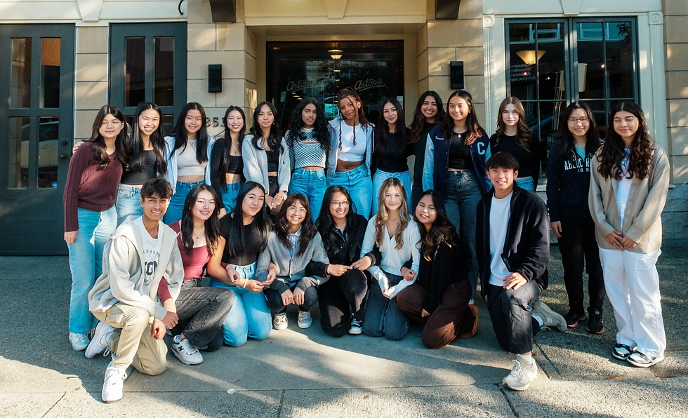 Artona Ambassador Program