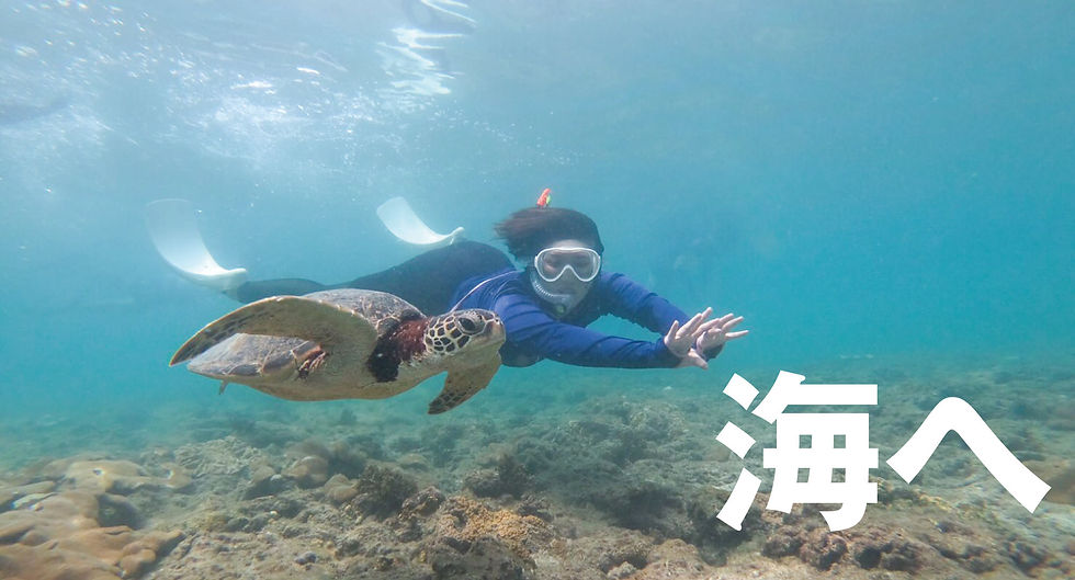 休日の過ごし方