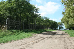 Abriendo caminos