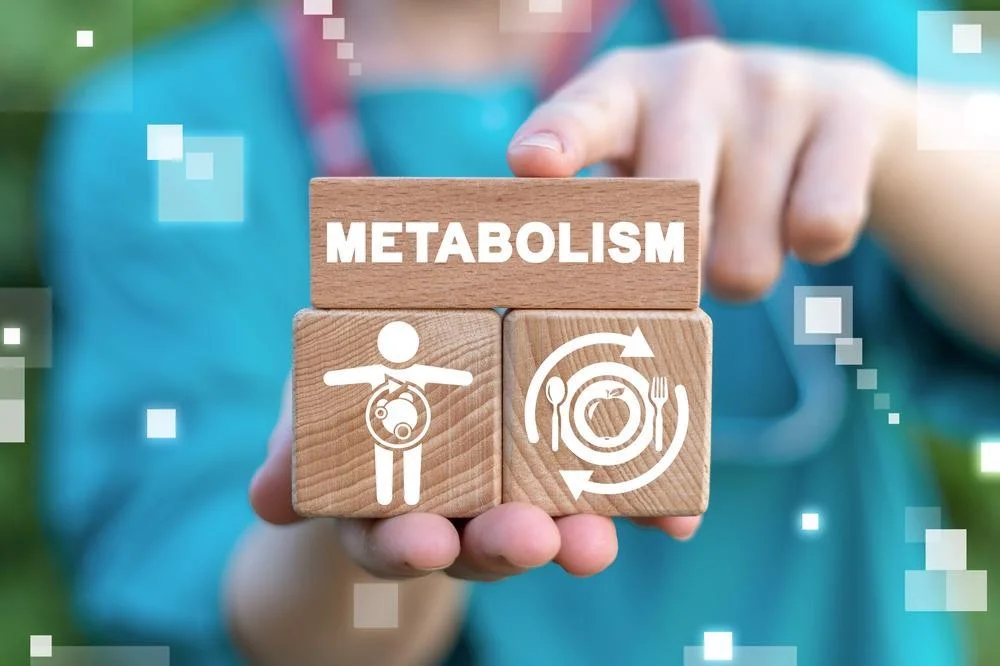 metabolism.webp