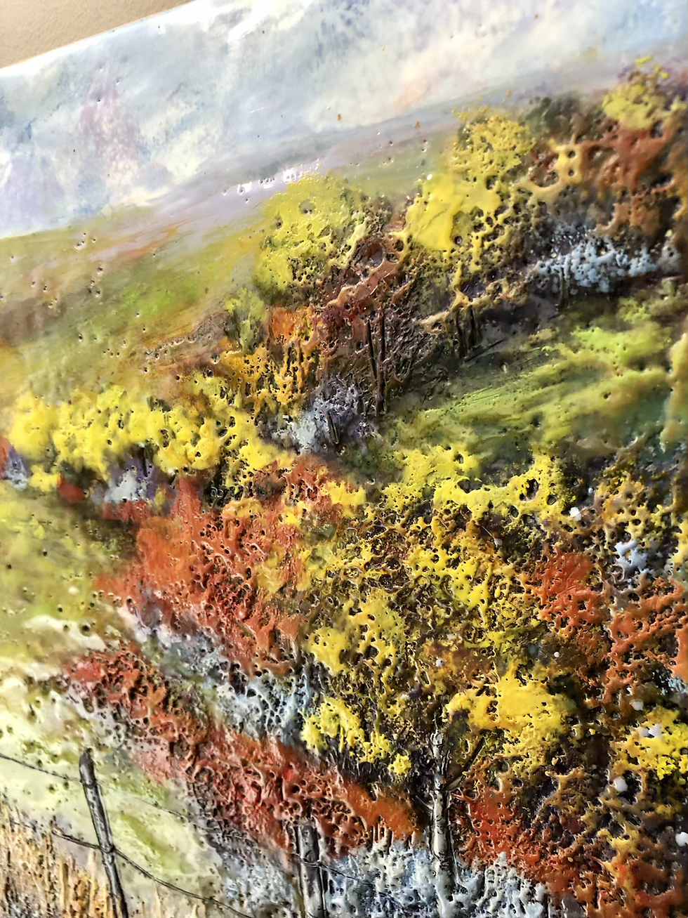 Thumbnail: PRAIRIE COLOURS 