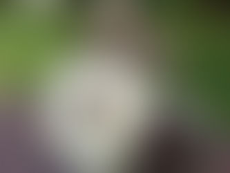 花灑。傳心個案分享17 寵主分享