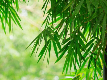 天地平安魔法陣執行前之禱告文