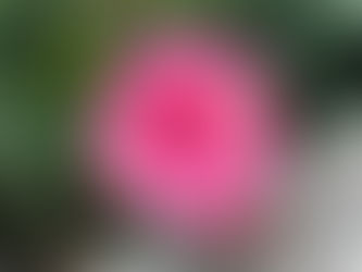 花灑。治療術+小周天課程回饋文