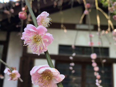 花灑隨感 保持平常心