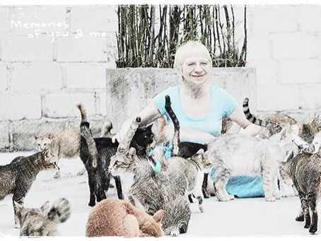 In Memory of our dear Rosina
