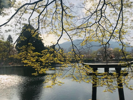 第四屆傳心基礎班27/4/2019 Wai Ho回饋文