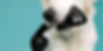 rs=w-2480,h-1240,cg-true,m.jpeg