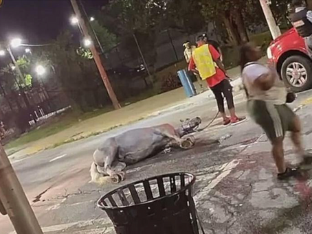 Atlanta Carriage Horse Hit By A Car