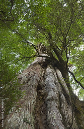 AdobeStock_113300302_Preview.jpeg