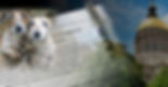 GPC-Header-about-us.jpg