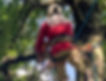 Team Tree home page image cropped.jpg