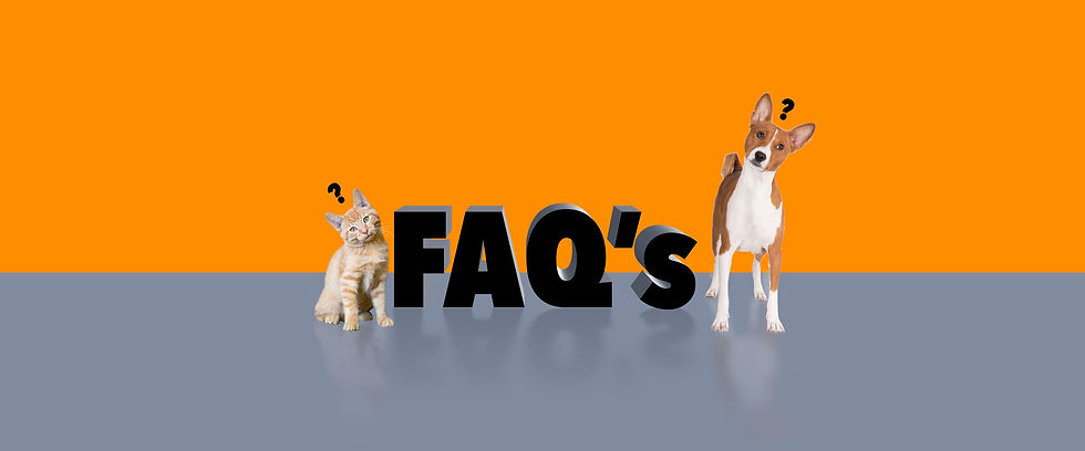 faqs-header-georgia-pet-foundationsm.jpg