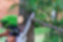 AdobeStock_168415741_Preview.jpeg