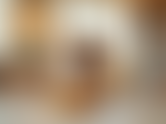 How ScaleKraft Helps Pet Brands Grow with Emotion Led Video Production